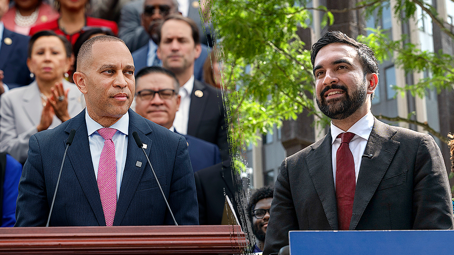 Top House Dem sides with Mamdani critics on key controversy surrounding his campaign: 'Legitimate issue'