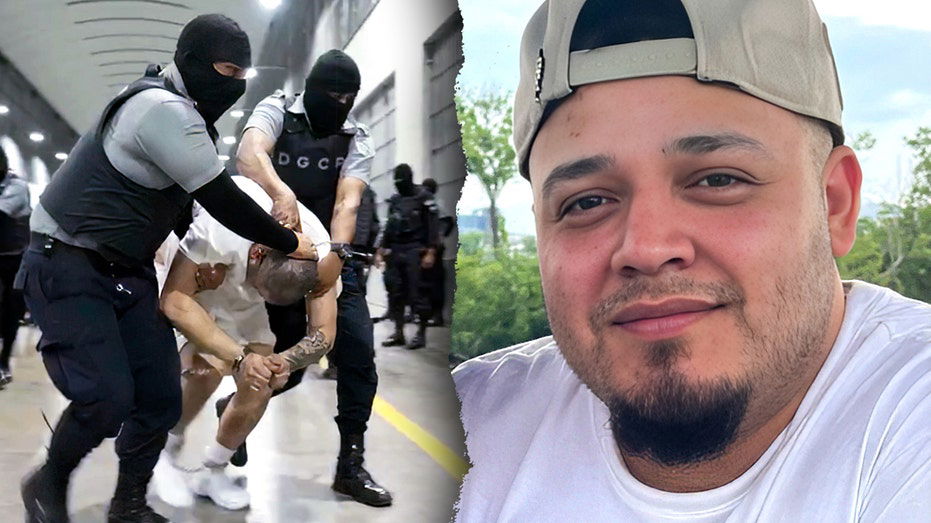 Top Trump official torches Dem senator's 'advocacy for a known terrorist' during fiery hearing: 'Alarming'