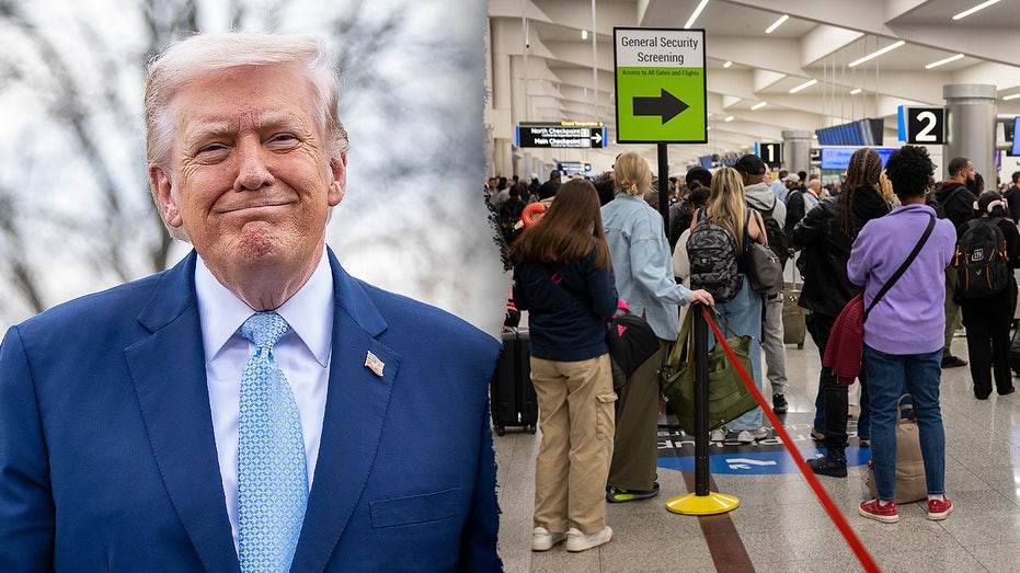 Top TSA watchdog backs Trump's ICE airport move as shutdown snarls travel