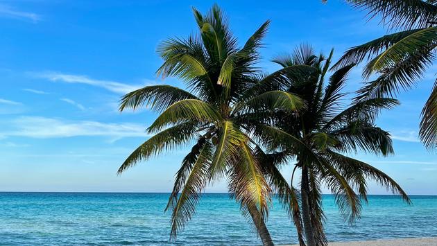 Travel Collaboration in Caribbean Could Generate $100 Billion by 2032