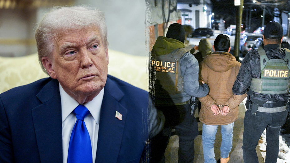 Trump backs ICE raid tactics, says they 'haven't gone far enough'