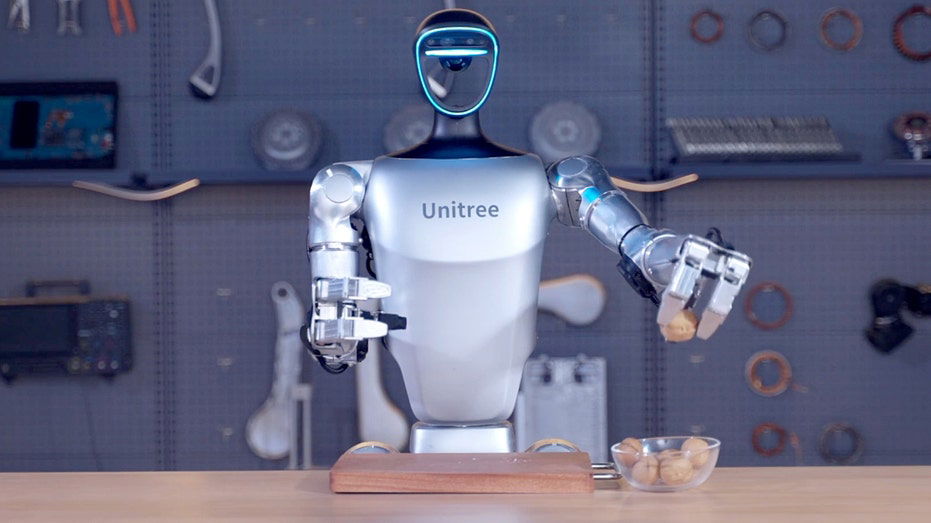 US targets Chinese robots over security fears