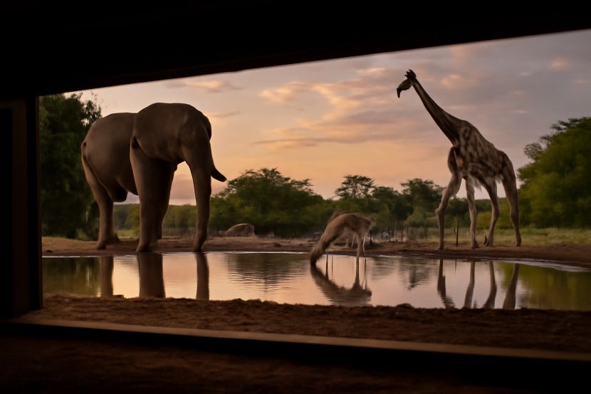 Visit Shompole Wilderness: Perfect for Photography and Family Safaris