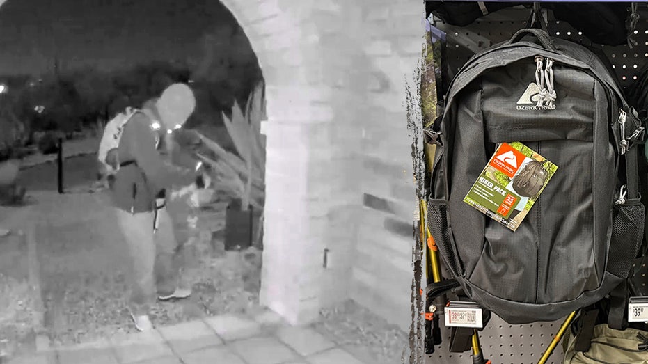 Walmart sales records become critical evidence as FBI investigates Nancy Guthrie's disappearance