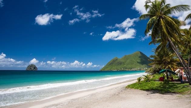 Why Martinique Is the Ultimate Destination for Nature Lovers