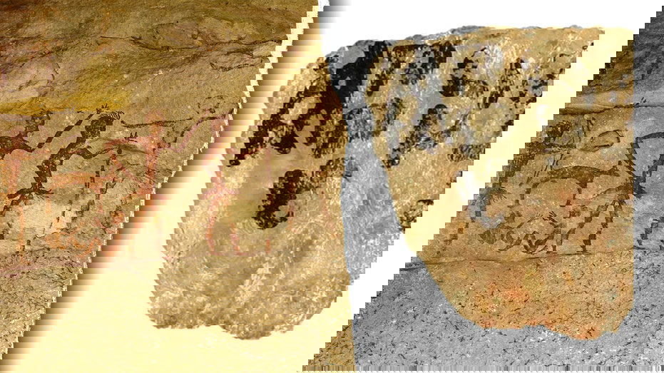 World's oldest poisoned arrowheads were coated with toxins from deadly onion-like plant, researchers say